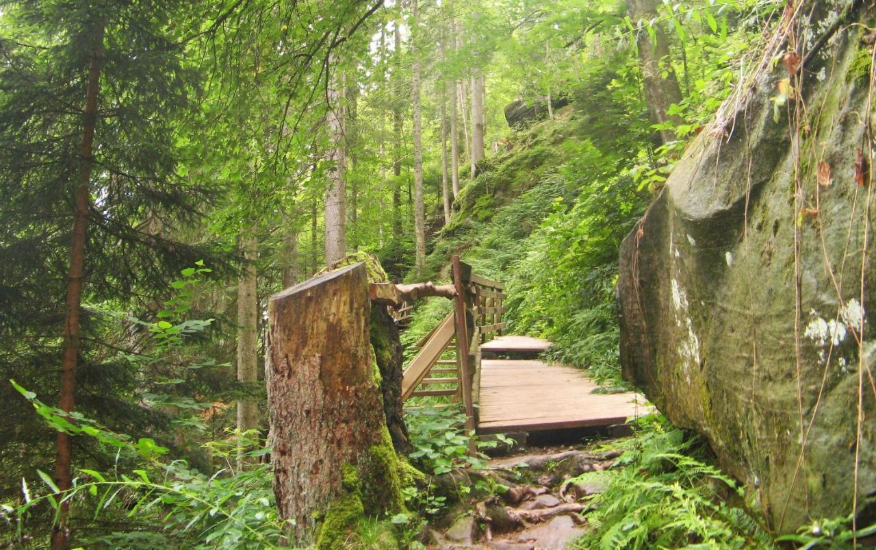 Ferienwohnung Schwarzwald Oase Schwarzwalddorf Kniebis Exterior foto